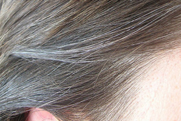 علاج الشعر الابيض بالاعشاب