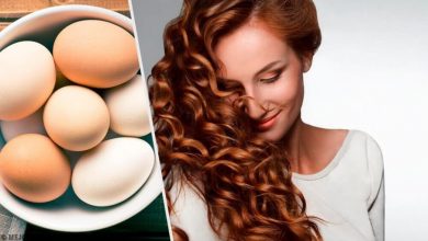 فوائد البيض على الشعر