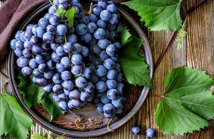 أبرز فوائد العنب الأسود - موقعي