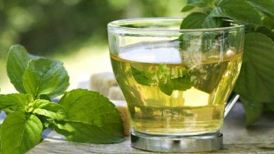 الشاي الأخضر وسرعة عملية الايض في الجسم