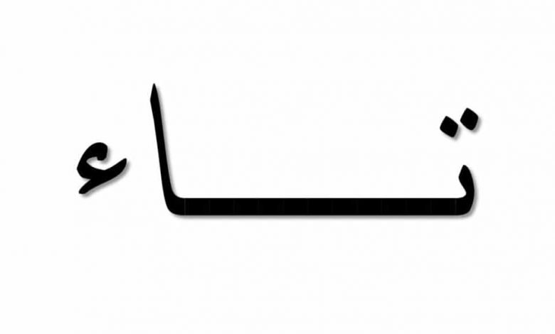 كلمات تنتهي بحرف التاء المربوطة