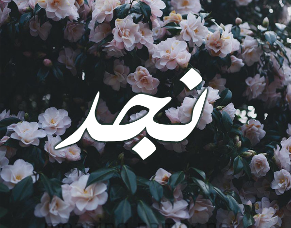معنى كلمة نجد معنى كلمة نجد