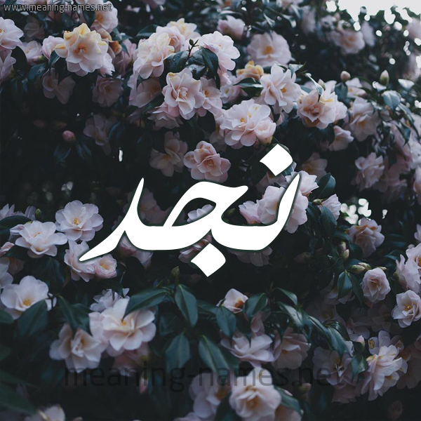 معنى كلمة نجد