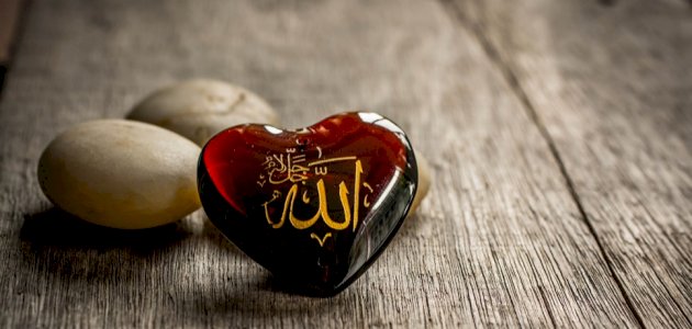 الفرق بين الرؤيا والحلم