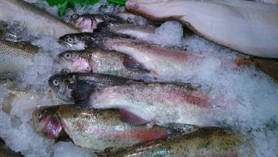 طريقة إزالة تجميد الأسماك المجمدة في التصنيع الغذائي