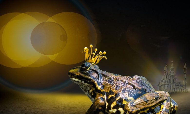 قصة الملك الضفدع أو هنري الحديد – The Frog-King or lron Henry