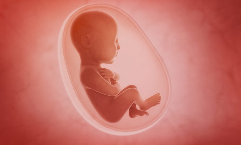 ما هو تقييد نمو الجنين – Fetal Growth Restriction؟