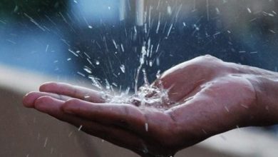 أهمية استخدام مياه الأمطار
