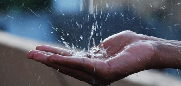 أهمية استخدام مياه الأمطار