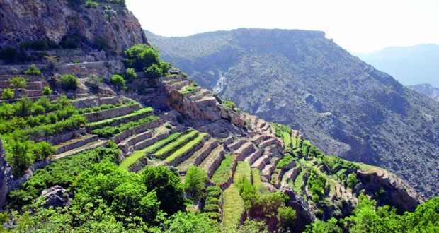 أين يوجد الجبل الأخضر.. موقع الجبل الاخضر بالتحديد