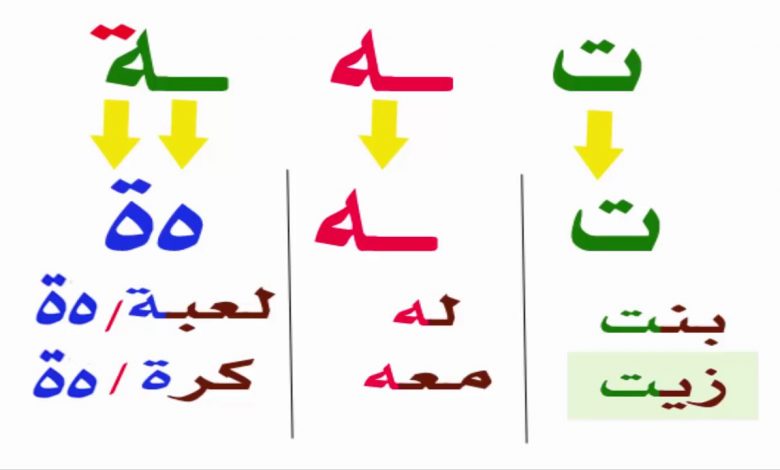 الفرق بين التاء المربوطة والمفتوحة