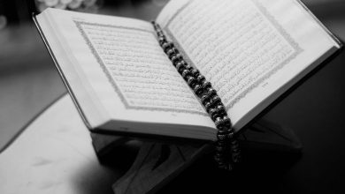 توضيح تاريخ العقيدة في القرآن الكريم