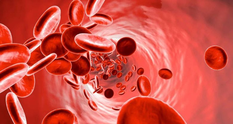 ما اسم الغدد والخلايا التي تقوم بتنقية الدم وتطهيره