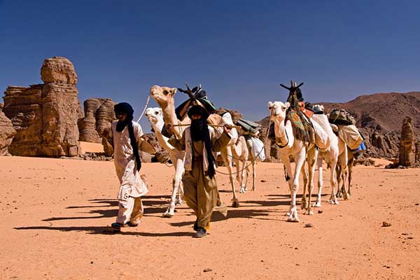 القشة التي قصمت ظهر البعير
