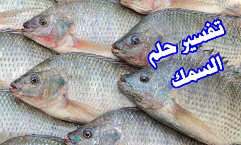 تفسير حلم السمك في المنام