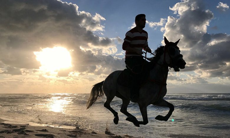 تفسير حلم ركوب الخيل في المنام