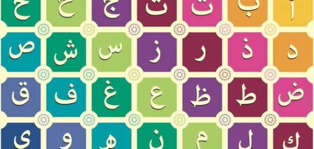 كلمة تتكون من 8 حروف ولكنها تجمع كل الحروف