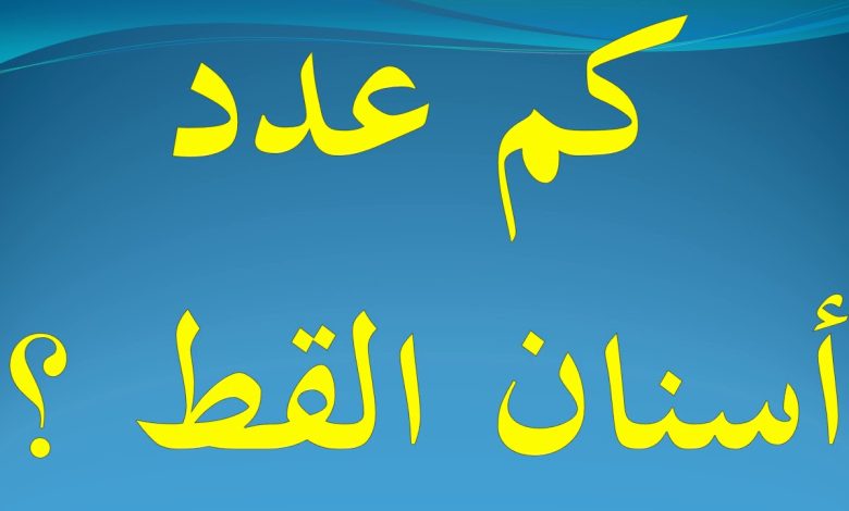 كم عدد أسنان القط