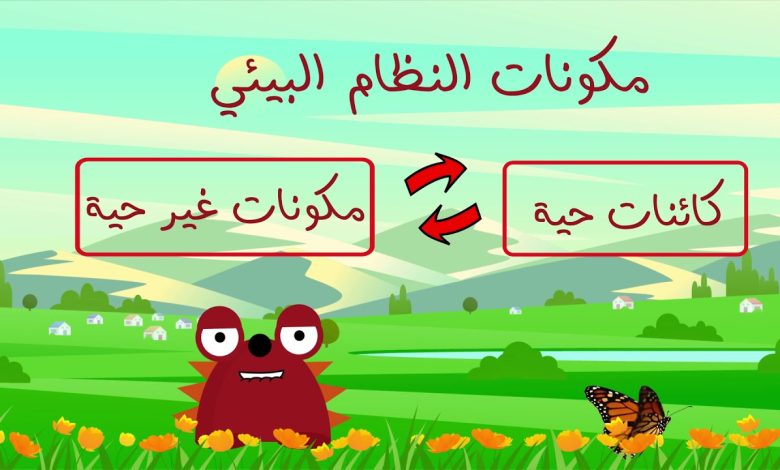 كيف تتفاعل مكونات النظام البيئي بعضها مع بعض