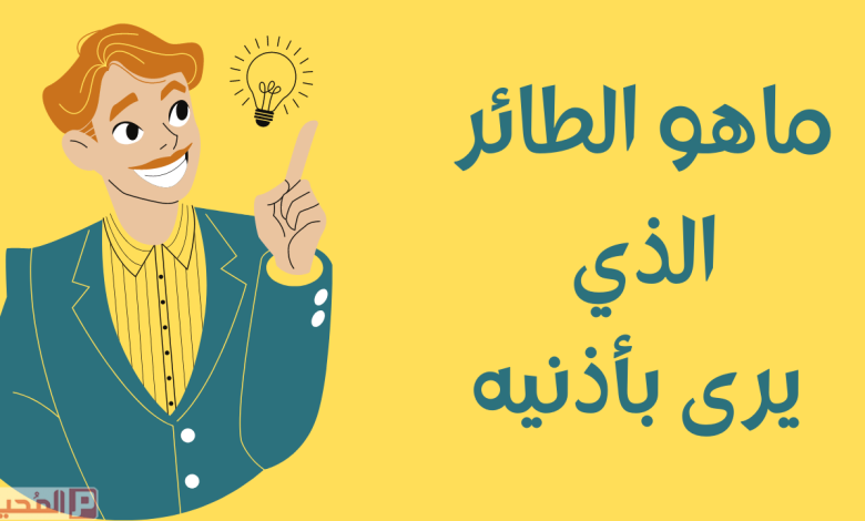 ما هو الطائر الذي يرى بأذنيه؟