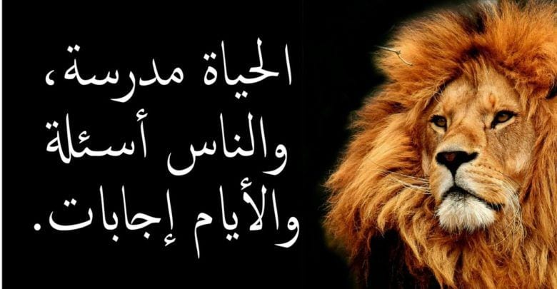 عبارات عن الحياة والناس