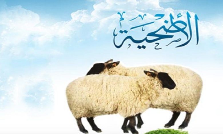 ما هي أحكام الأضحية واهم شروطها
