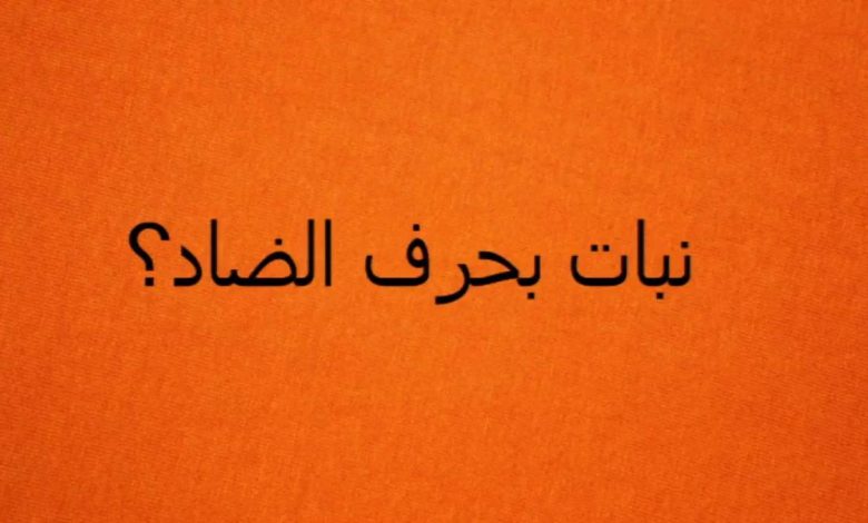 اسماء نبات بحرف ض متنوعة