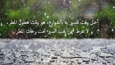عبارات عن المطر تعبر عن الروح النابضة للسماء والعناق الدافئ بعد البكاء