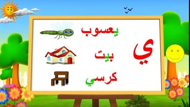 كلمات بحرف الياء في قاموس اللغة العربية