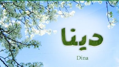 معنى اسم دينا Dina في قاموس معاني الأسماء وحكم تسميته