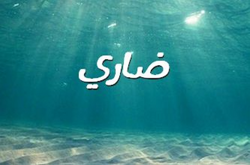 معنى اسم ضاري وصفات حامله