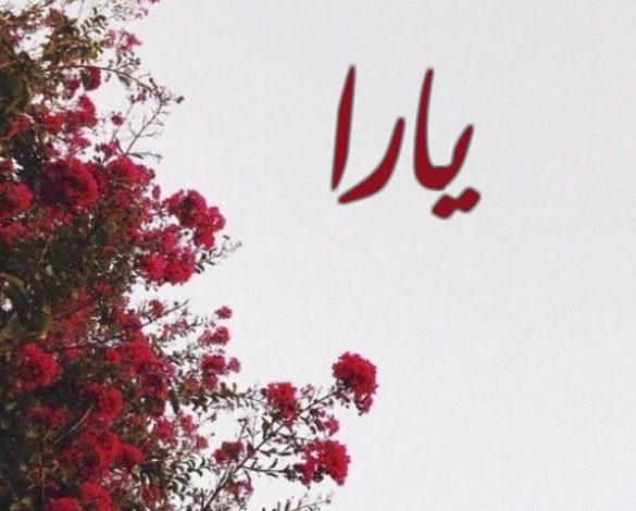 معنى اسم يارا فى الاسلام وصفات حاملة الاسم