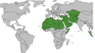 كم عدد المسلمين في العالم