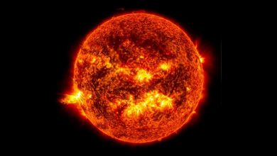 معلومات عن الشمس ومزاياها لحياة الإنسان
