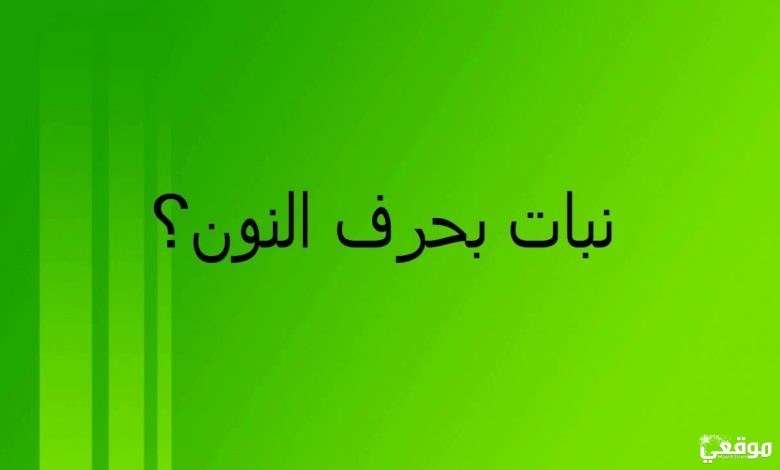 اسم نبات بحرف النون ن .. أسماء نباتات تبدأ بحرف النون ن