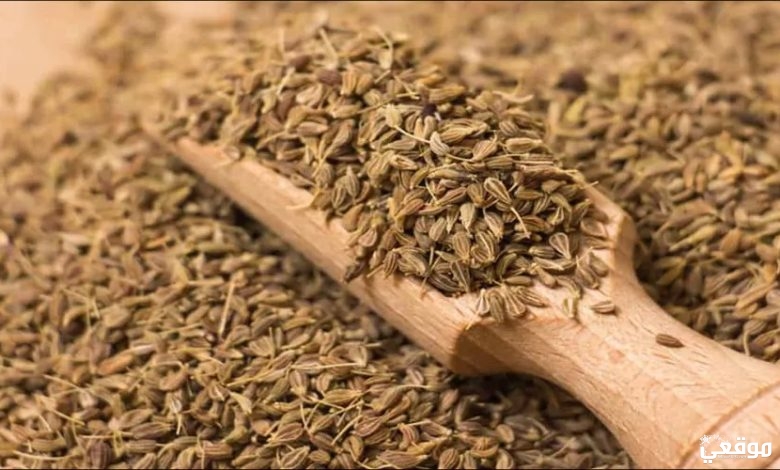 تجربتي مع اليانسون للولادة