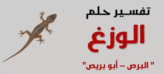 تفسير حلم رؤية البرص او الوزغ في المنام