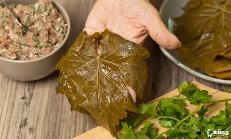 تفسير حلم ورق العنب للحامل