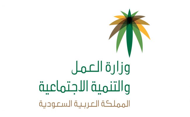 ماهي المهن الادارية المساندة ؟.. مميزاتها ومقدار الراتب