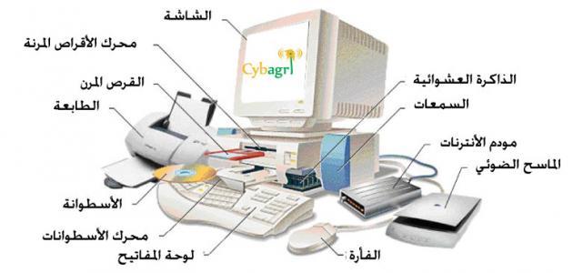 مكونات الحاسب البرمجية