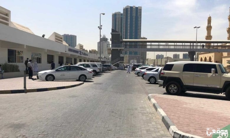 مواعيد سوق السمك عجمان