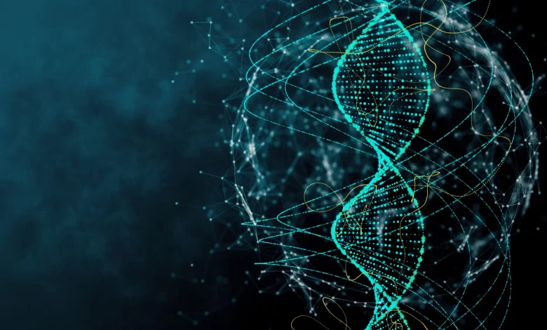 كم عدد السلاسل في الحمض النووي DNA