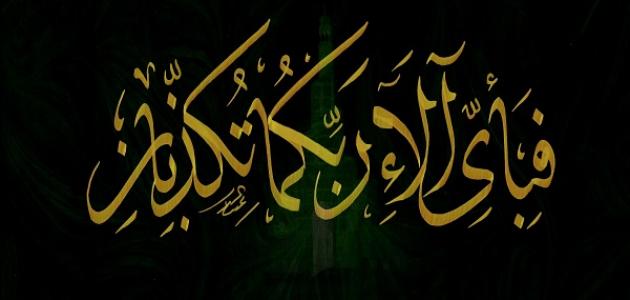 كم مرة ذكرت فبأي آلاء ربكما تكذبان في سورة الرحمن