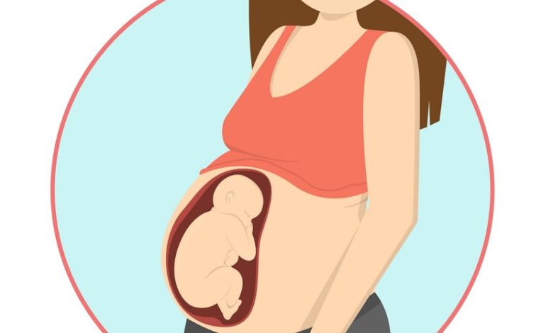 كم وزن الجنين الطبيعي في الشهر السابع