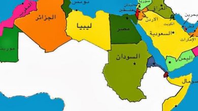 السمات المشتركة بين دول الوطن العربي