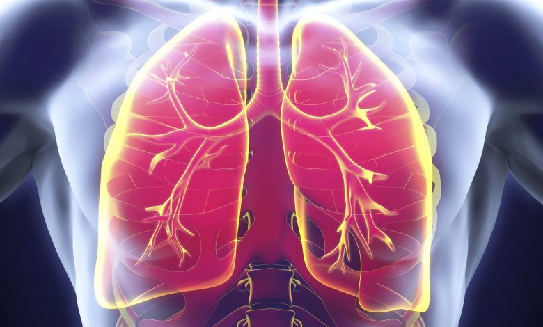 ما هي أمراض الجهاز التنفسي الأكثر انتشاراً وكيفية الوقاية منها